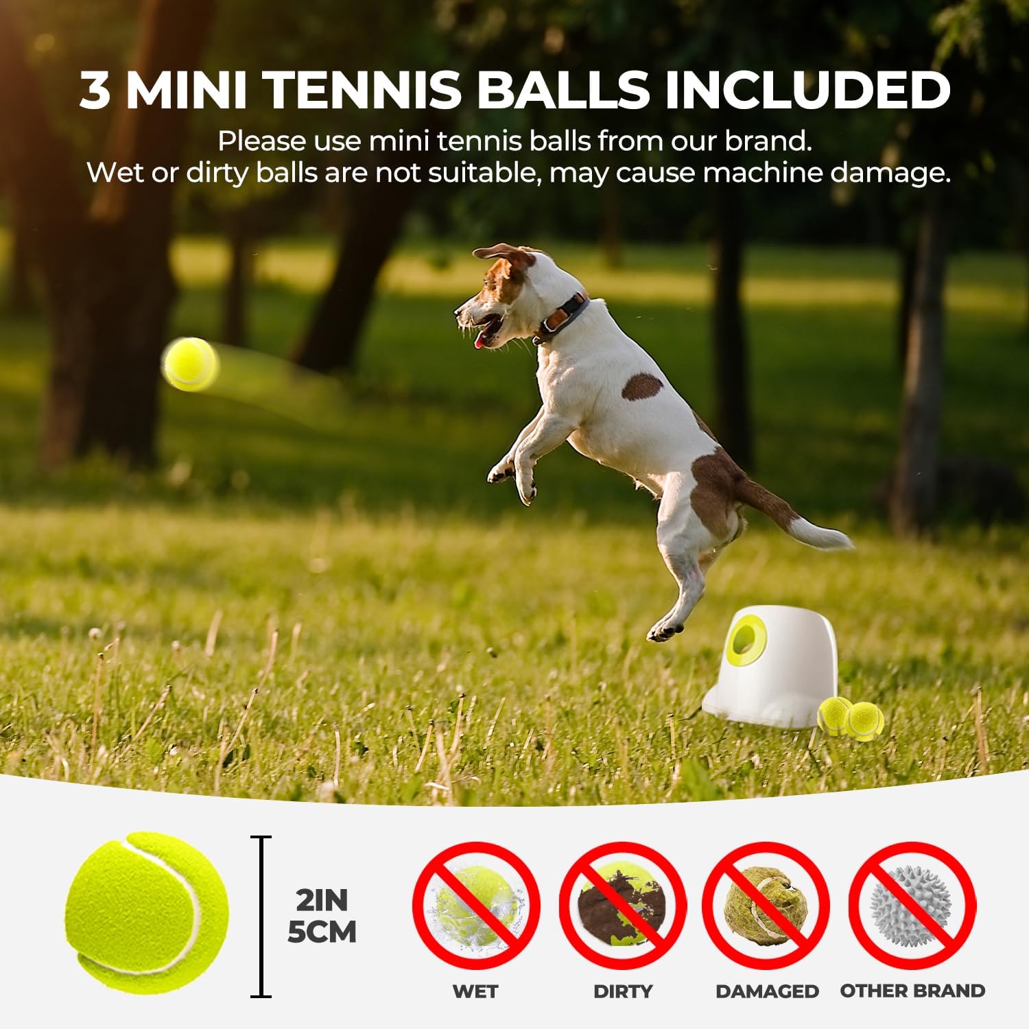 🐶🎾 Automatischer Ballwerfer für Hunde 🐾 | Interaktives Spiel & Training drinnen & draußen 🌟