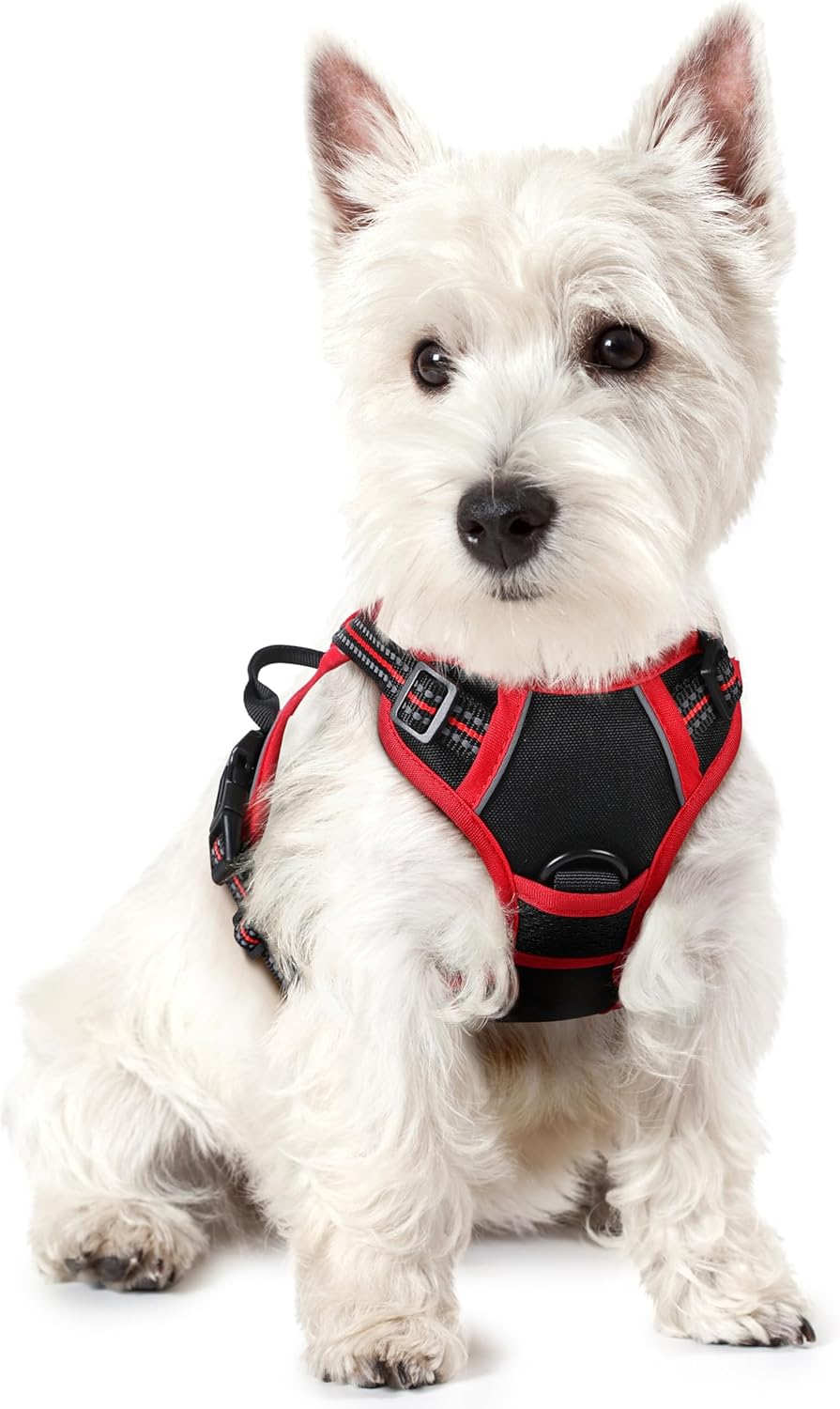 Rabbitgoo Hundegeschirr Kleine Hunde, anti Zug Geschirr Mit Kontrolle, No Pull Verstellbar Hundegeschirr Grosse Hunde, Atmungsaktiv Reflexstreifen Brustgeschirr Sichere Führung Schwarz XS