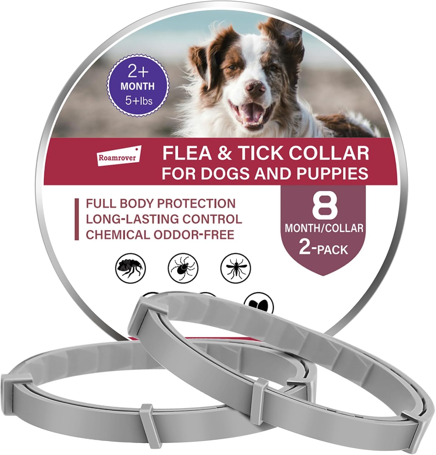 🐾 2× Zeckenhalsband für Hunde – 16 Monate Schutz 🌿