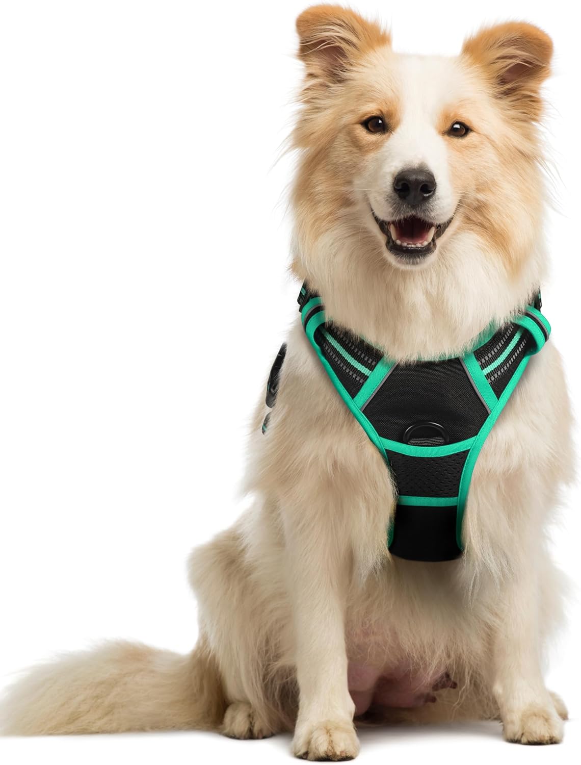 Rabbitgoo Hundegeschirr Kleine Hunde, anti Zug Geschirr Mit Kontrolle, No Pull Verstellbar Hundegeschirr Grosse Hunde, Atmungsaktiv Reflexstreifen Brustgeschirr Sichere Führung Schwarz XS