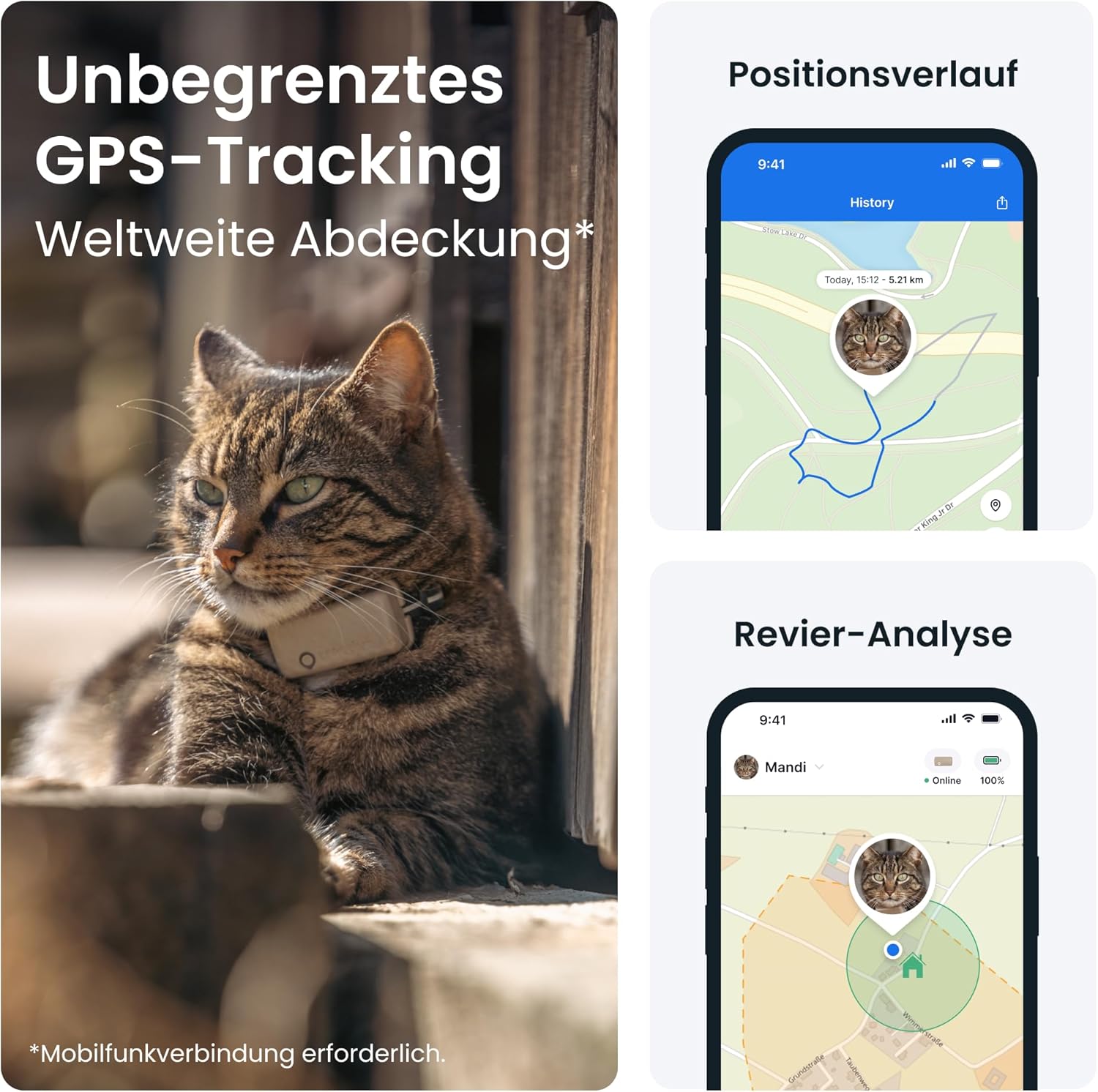 🐱 Tractive CAT Mini GPS Tracker | Live-Ortung & Aktivität | Sicherheitshalsband inkl. | Abo nötig