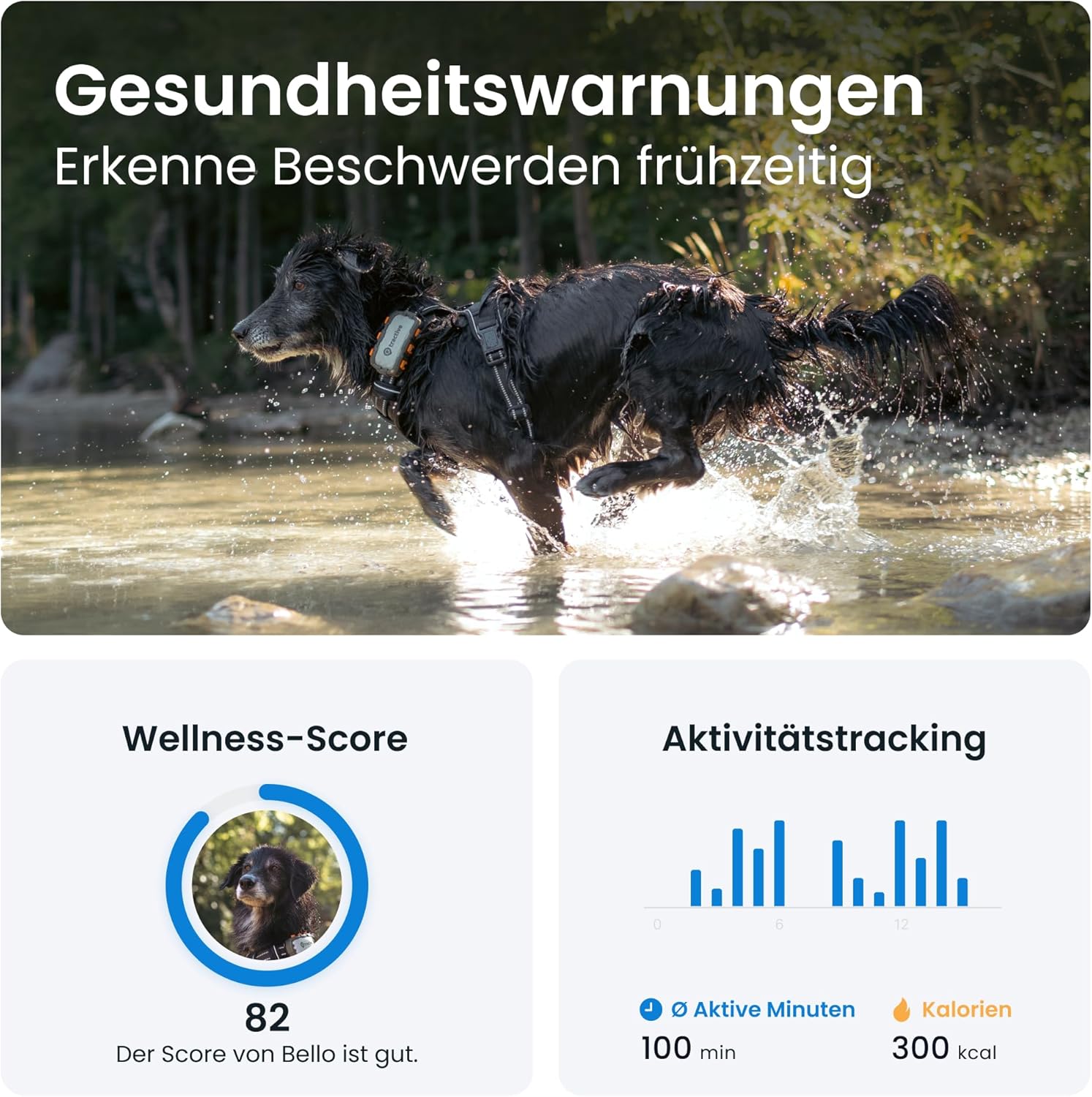 📍 Tractive GPS Hund XL – Live-Tracking, 1 Monat Akku, 🛡️ bissfest