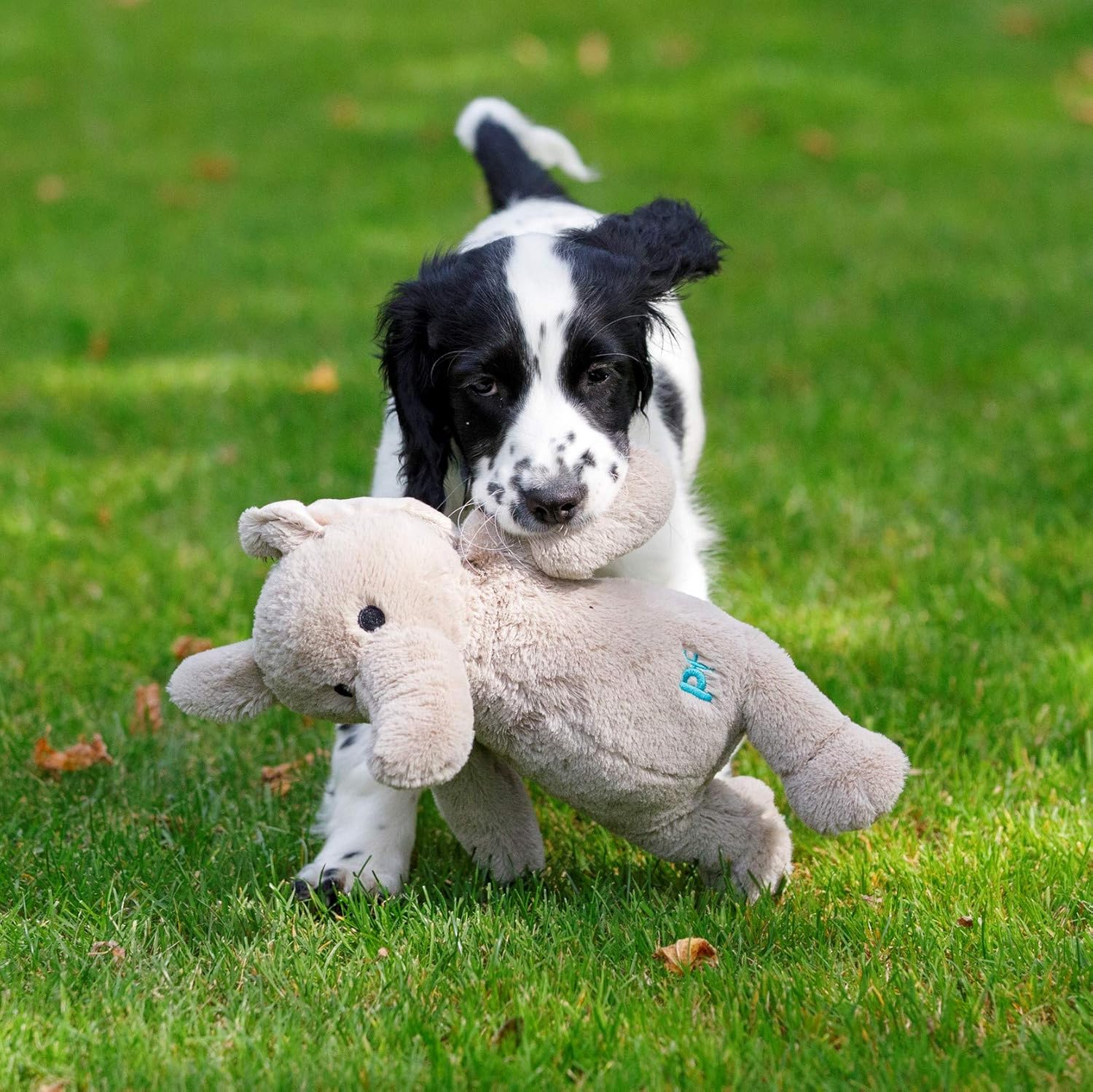 🧸 Little Betty Elefant – Plüschspielzeug für Hunde & Welpen mit Herz ❤️