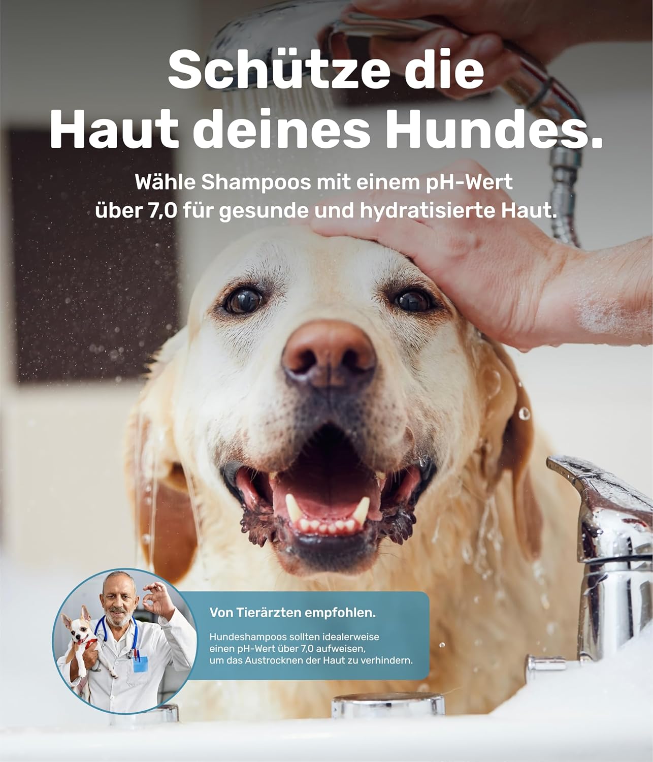 🐶🌿 Veganes Hundeshampoo – sanfte & feuchtigkeitsspendende Pflege, pH-neutral, ohne Schadstoffe