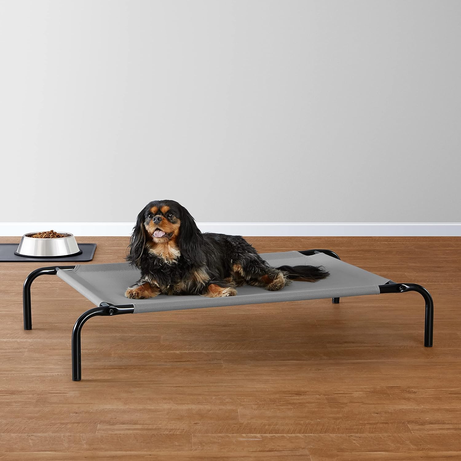 Amazon Basics Kühlendes Erhöhtes Haustierbett per Hund, Größe S, L 90 X B 55 X H 19 Cm, Grau