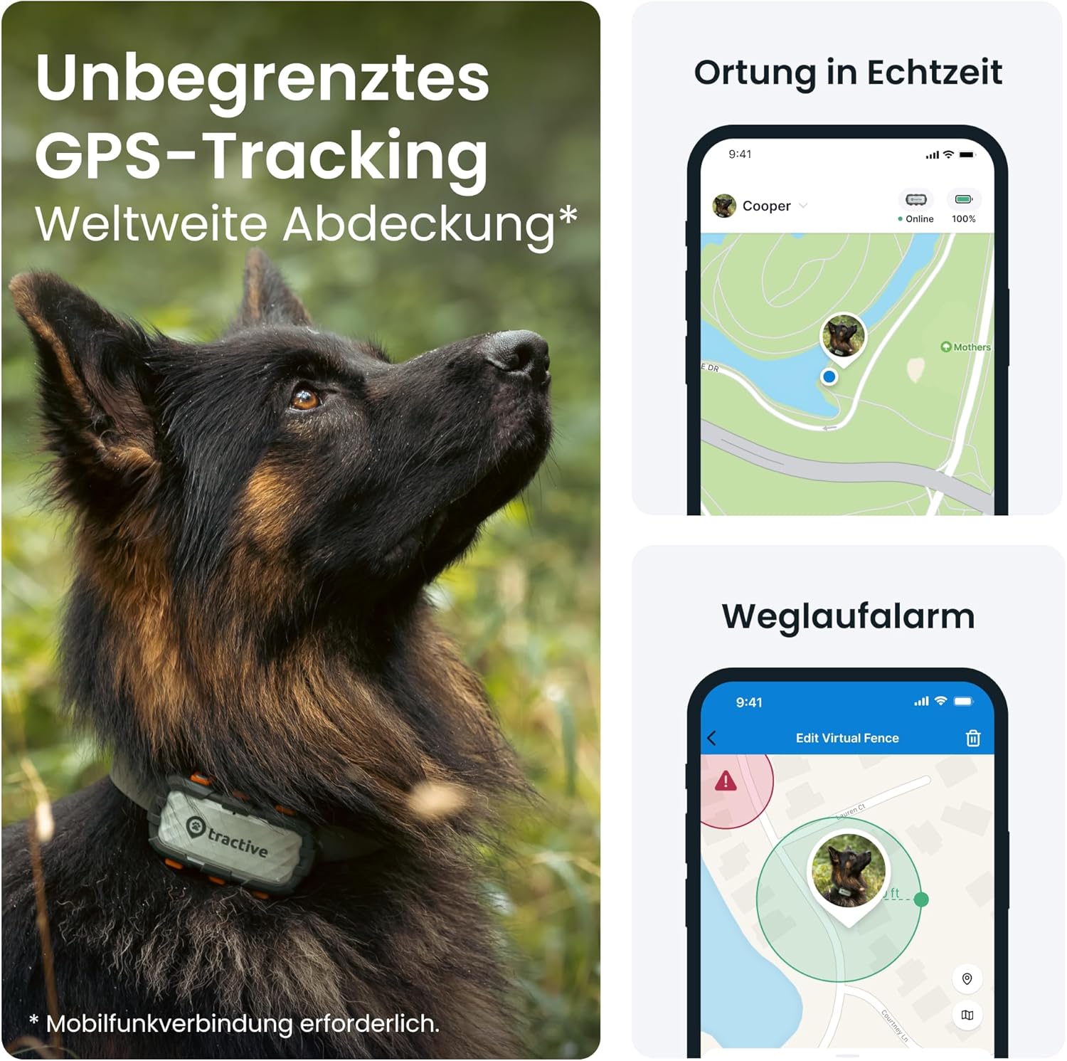 📍 Tractive GPS Hund XL – Live-Tracking, 1 Monat Akku, 🛡️ bissfest