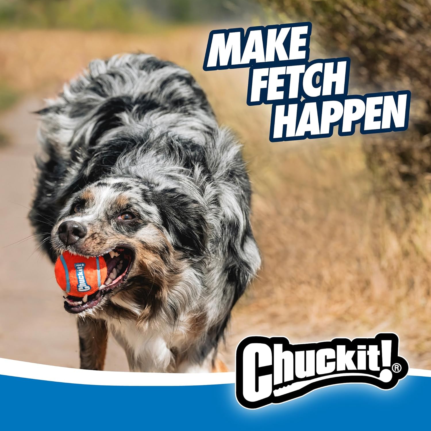 🎾 Chuckit! Sport Ballwerfer – Weitwurfspaß für aktive Hunde 🐶💨