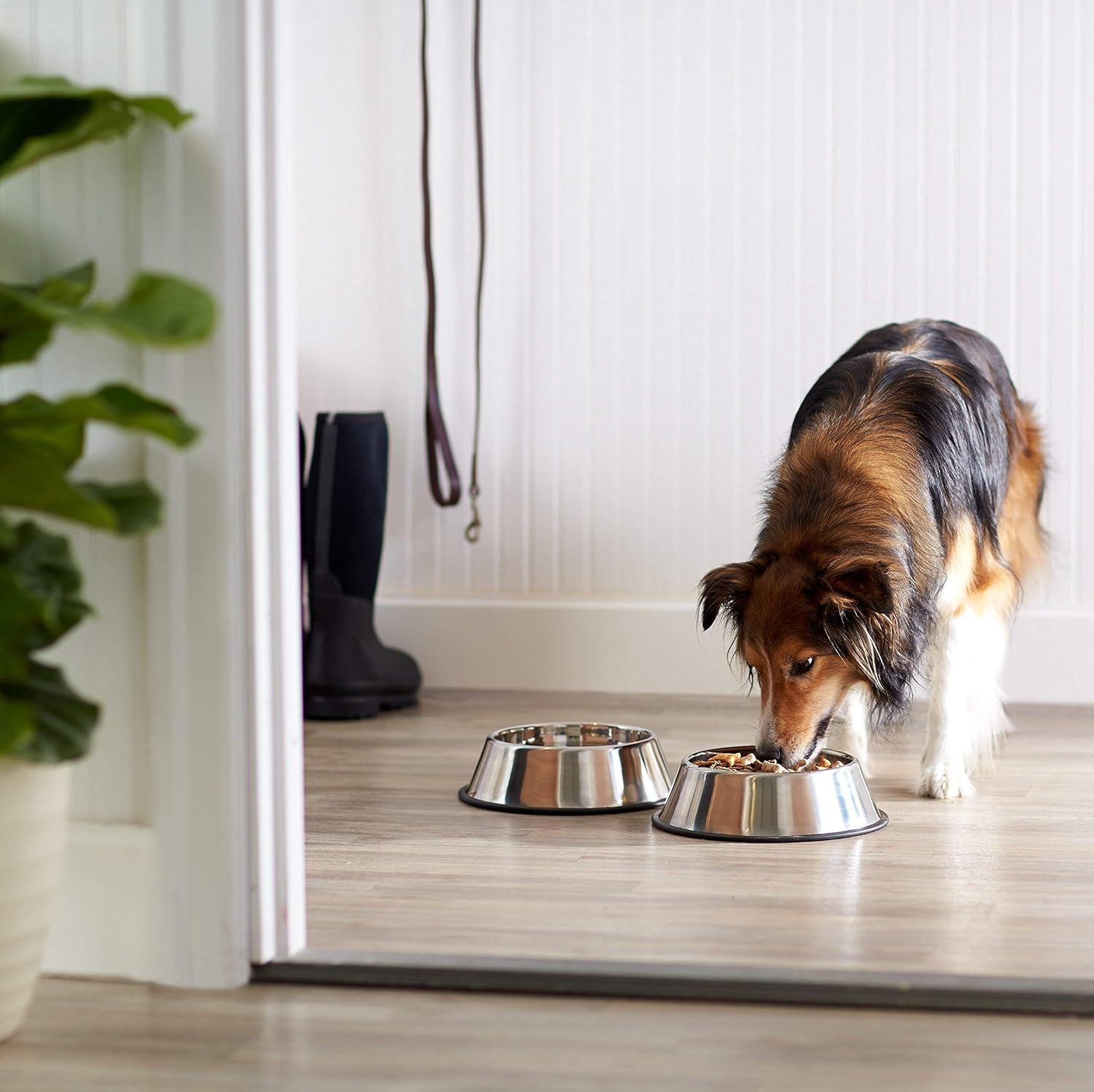 Edelstahl-Näpfe im 2er-Set – Rutschfest & robust für Hunde & Katzen 🐾
