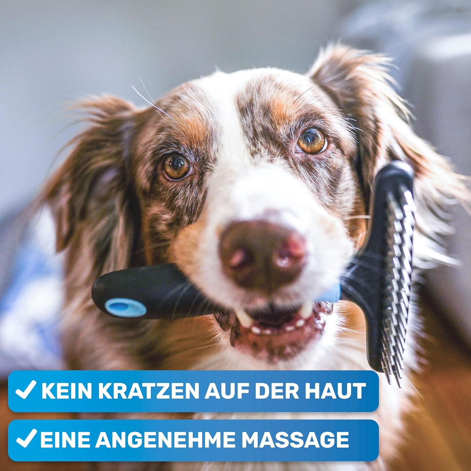 🐾 BluePet Fellstriegel – Entfilzen, Glätten & Fellwechsel für Hunde & Katzen 🐶🐱