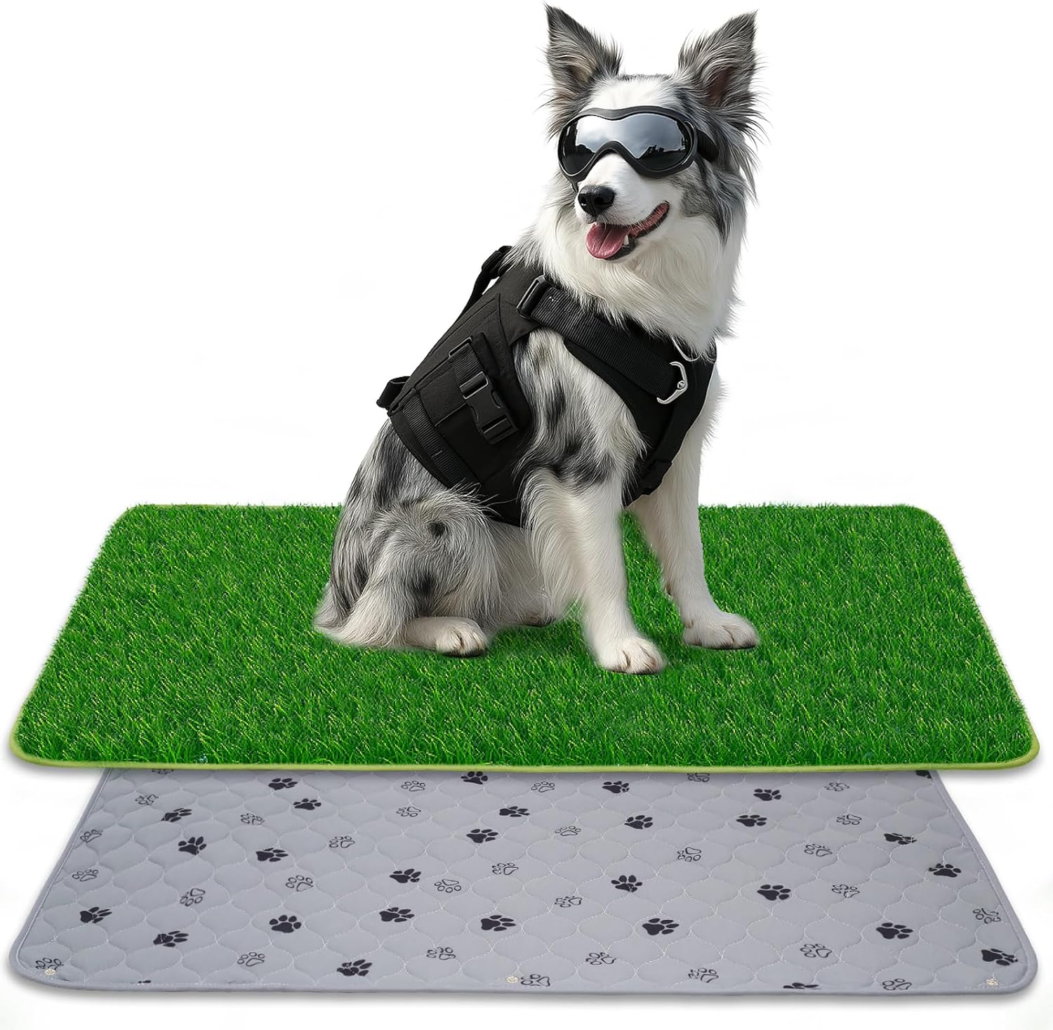 🐾 2-in-1 Hundetoilette mit Kunstrasen – 60×90 cm Pinkelmatte für Innen & Außen 🏡🌿