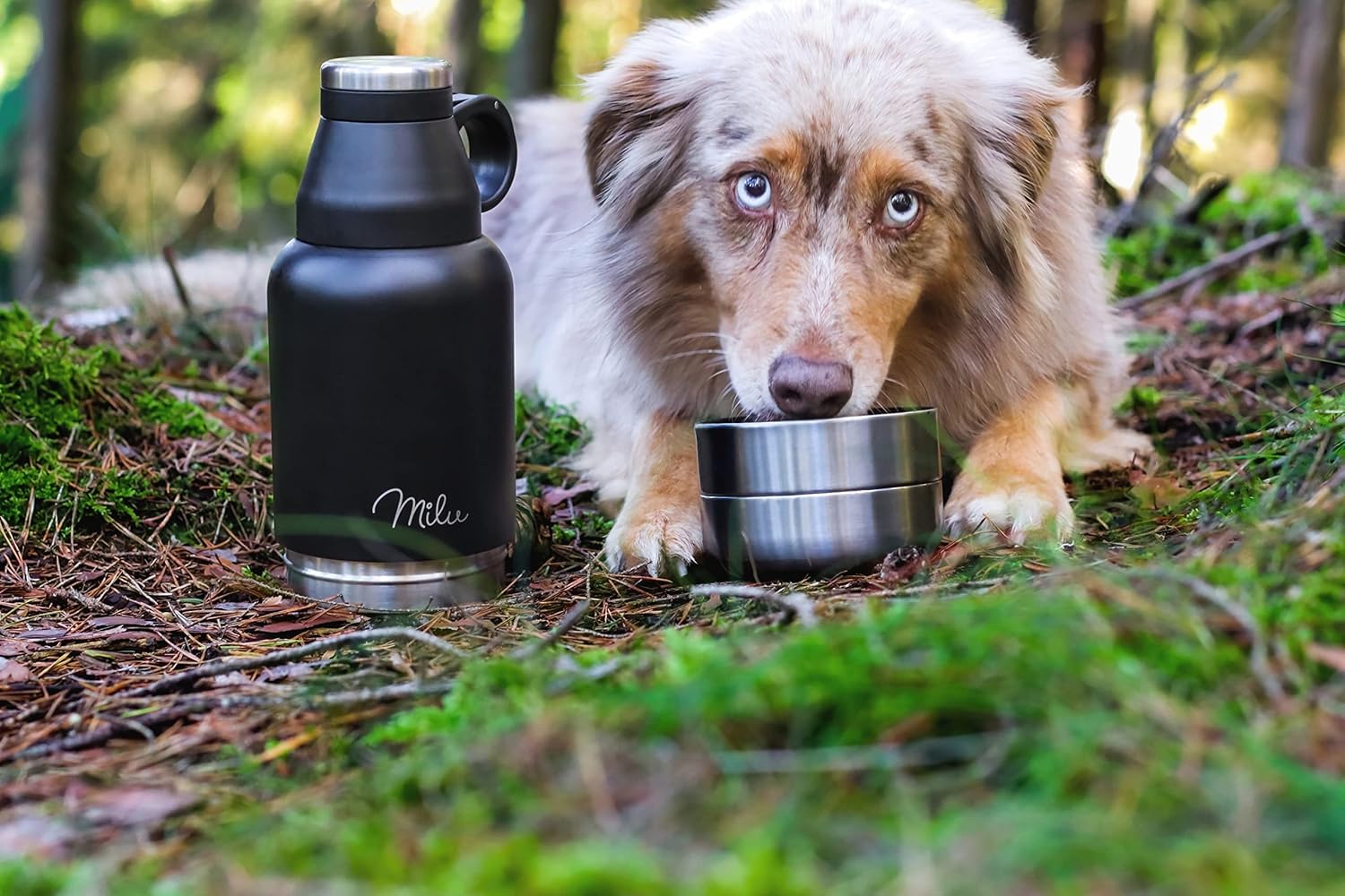 Milu Trinkflasche Hunde Für Unterwegs 950Ml - Wasserflasche Mit Futternapf, Isolierte Edelstahl Hundetrinkflasche, Hundeflasche Mit Futterbehälter, Napf, Hund, Wandern, Reisen, Spaziergang