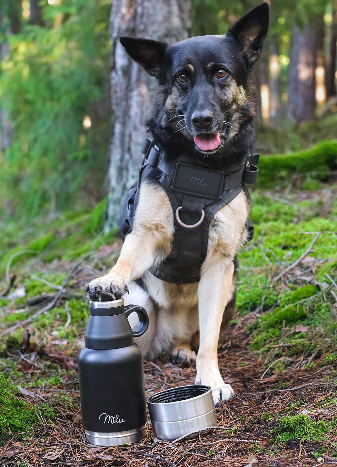 Milu Trinkflasche Hunde Für Unterwegs 950Ml - Wasserflasche Mit Futternapf, Isolierte Edelstahl Hundetrinkflasche, Hundeflasche Mit Futterbehälter, Napf, Hund, Wandern, Reisen, Spaziergang