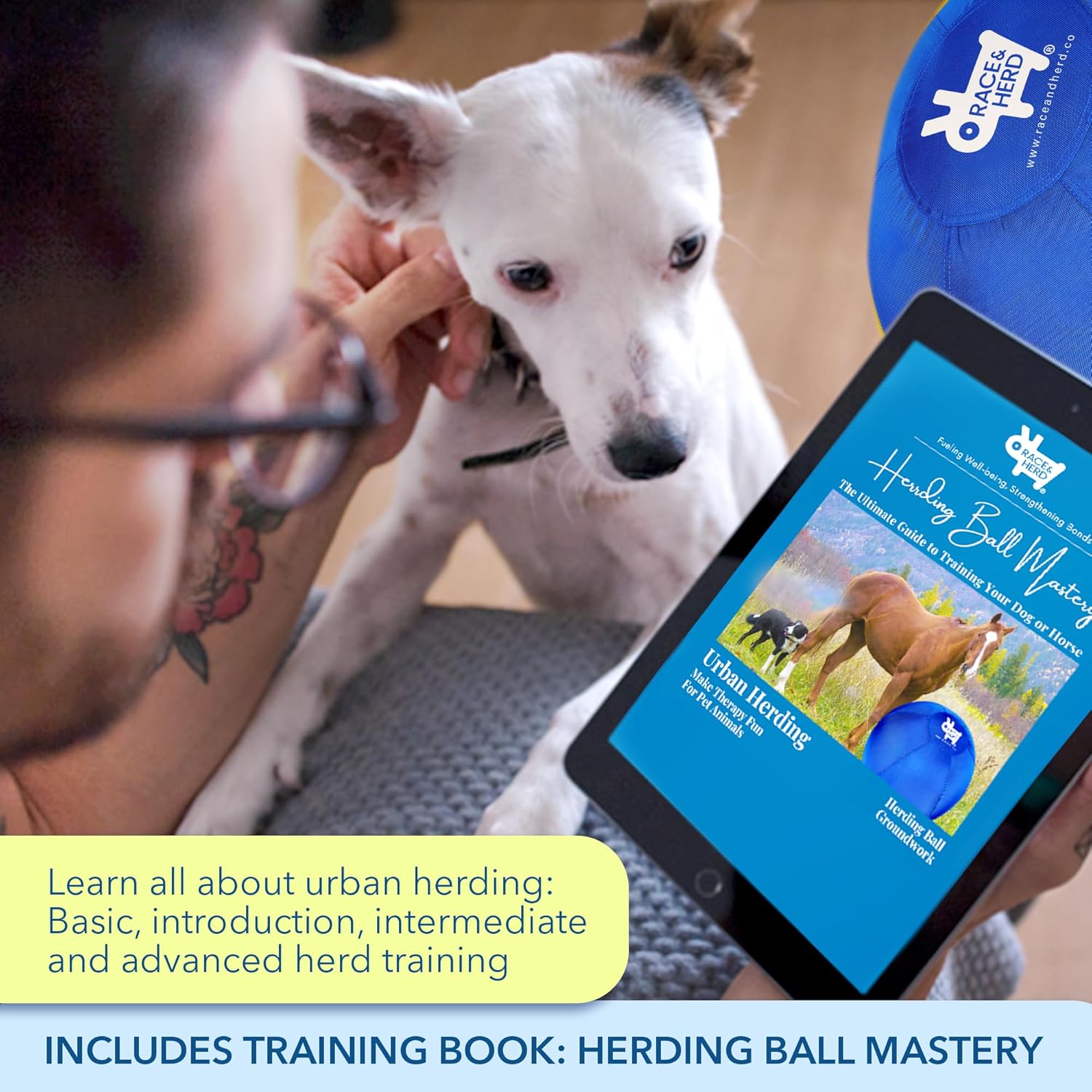 💪 Hüteball 25" | Bissfest & langlebig 🐶 | 🎓 IACP Training inkl.