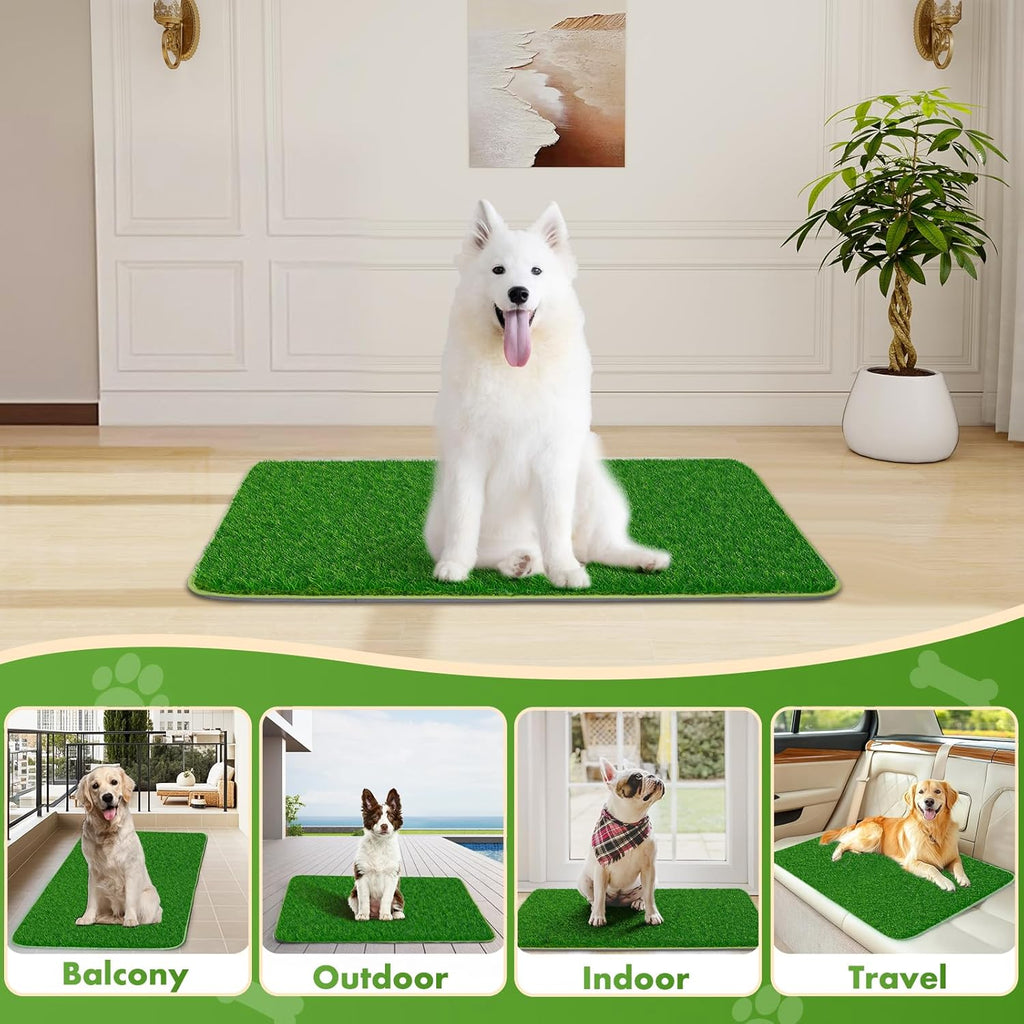 🐾 2-in-1 Hundetoilette mit Kunstrasen – 60×90 cm Pinkelmatte für Innen & Außen 🏡🌿
