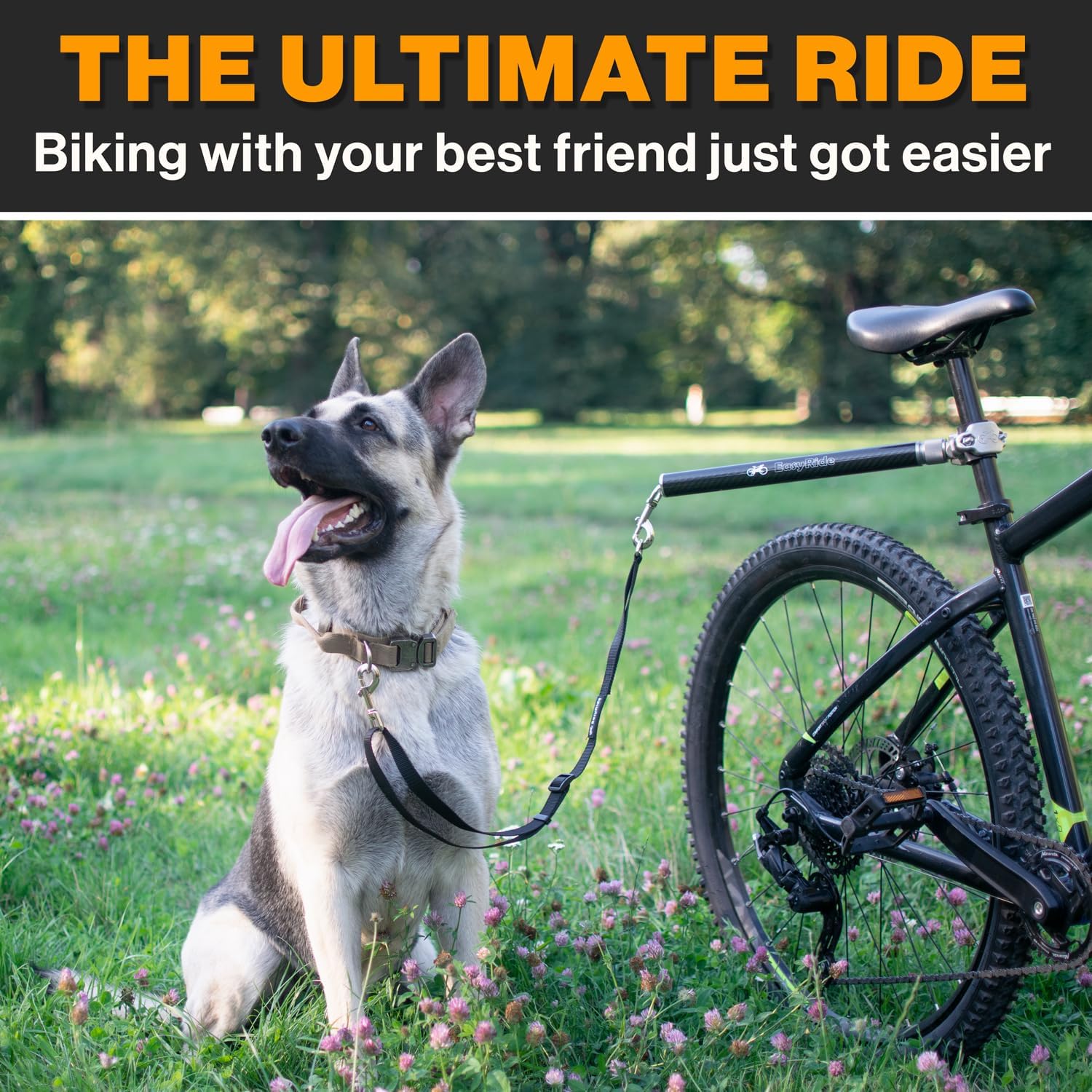 🚴‍♂️🐶 EasyRide® Fahrrad-Hundeleine – Sicher, Leicht & Flexibel!