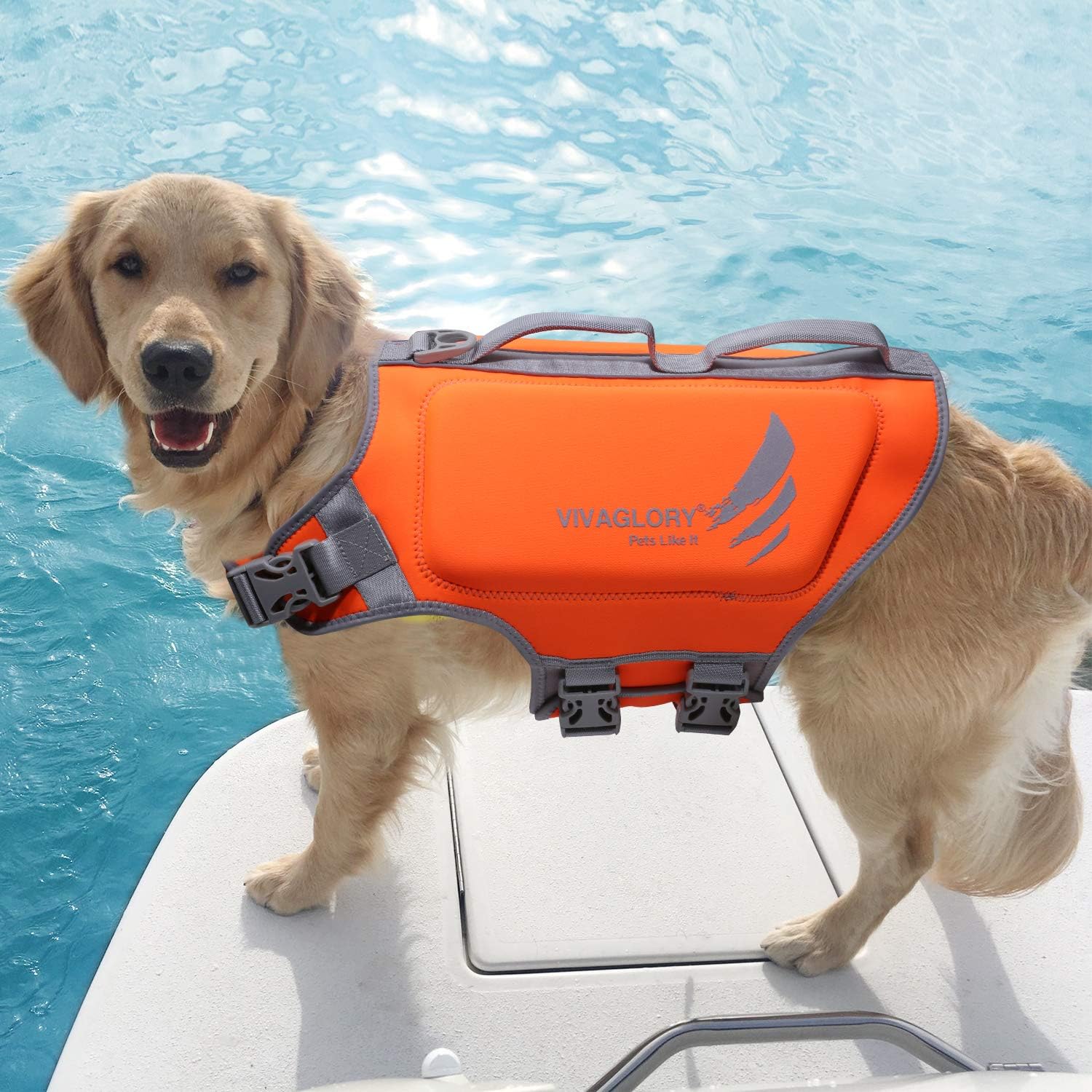 🐶💦 VIVAGLORY Hundeschwimmweste Neopren – Orange