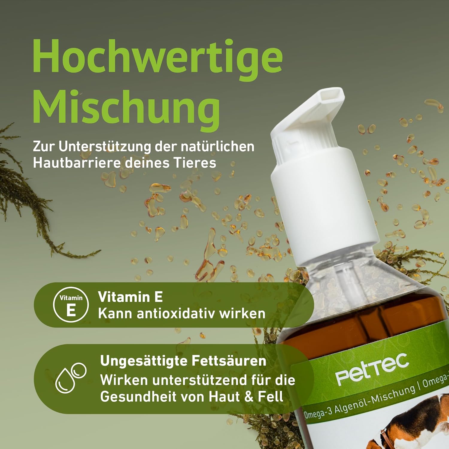 Veganes Omega-3 Algenöl für Hunde, Katzen & Pferde – Hochkonzentriert mit Vitamin E – 300 ml Pumpflasche 🐶🐱🐴