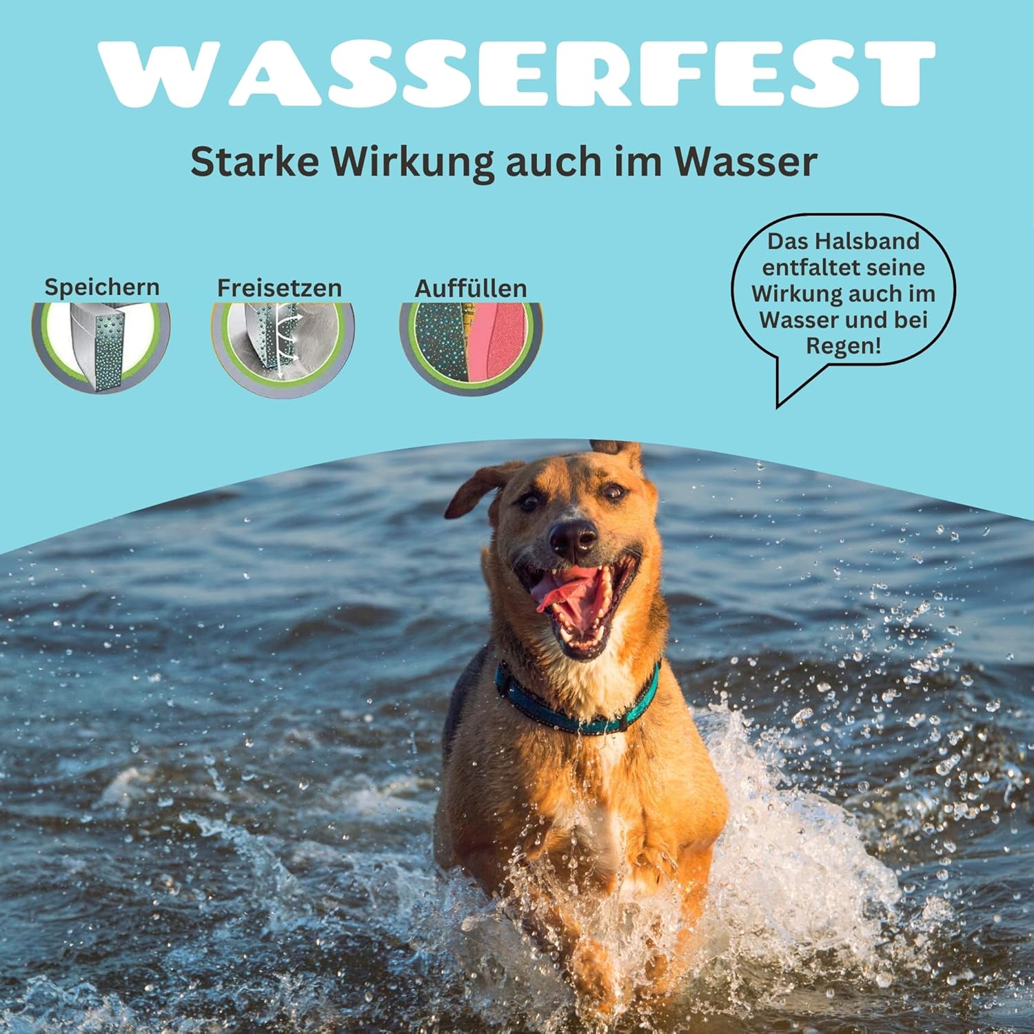 🌿 Lubur® Floh- & Zeckenhalsband Hund – Natürlicher Schutz bis zu 8 Monate 🐾