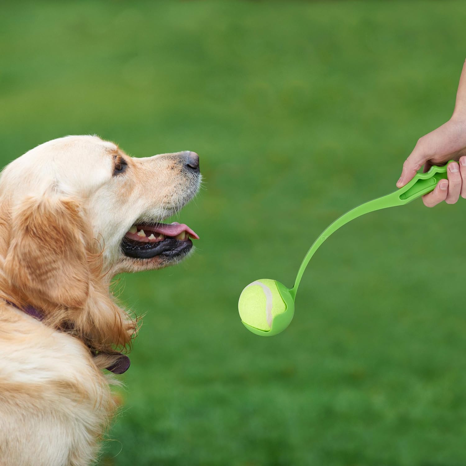 🎾🐕 Relaxdays Ballschleuder für Hunde – 2er Set Ballwerfer in Blau & Grün 🐶🚀