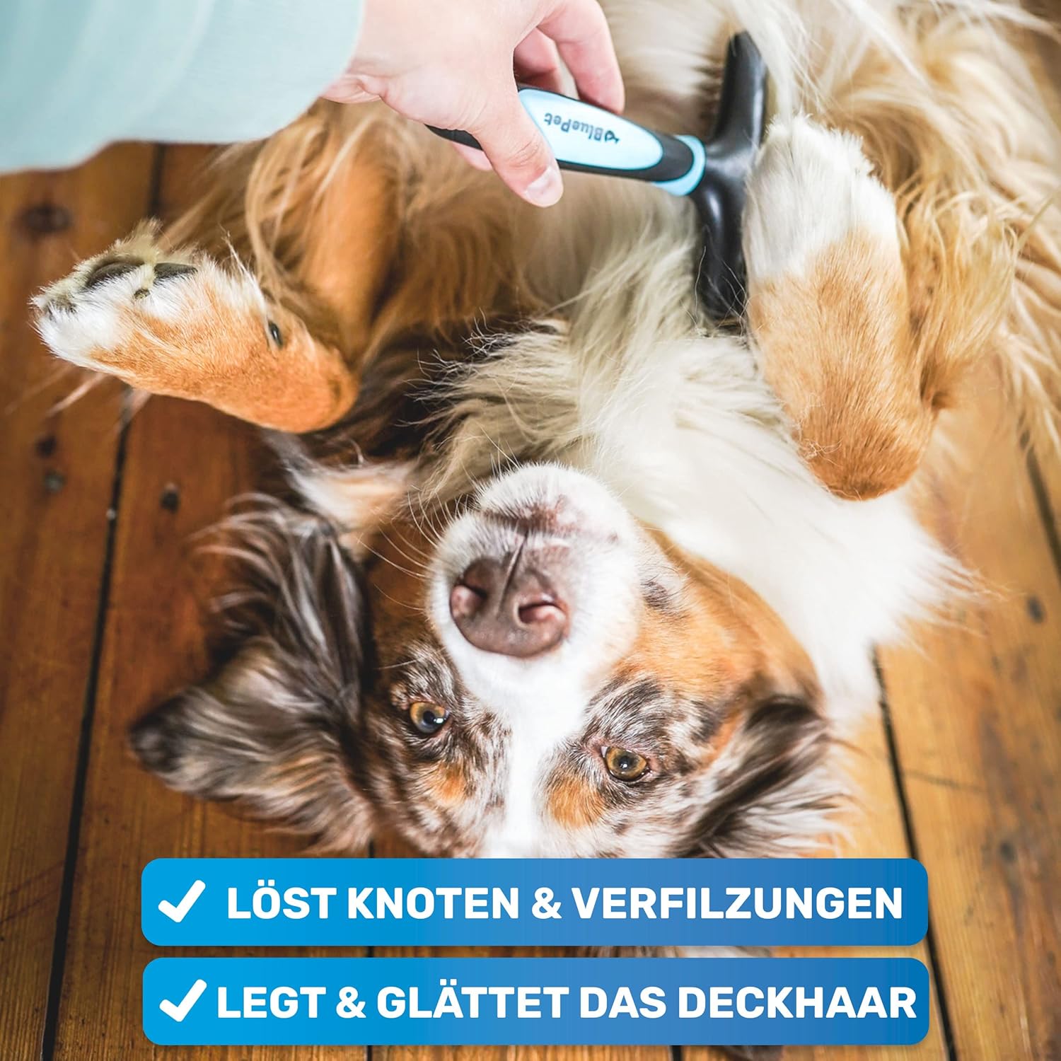 🐾 BluePet Fellstriegel – Entfilzen, Glätten & Fellwechsel für Hunde & Katzen 🐶🐱