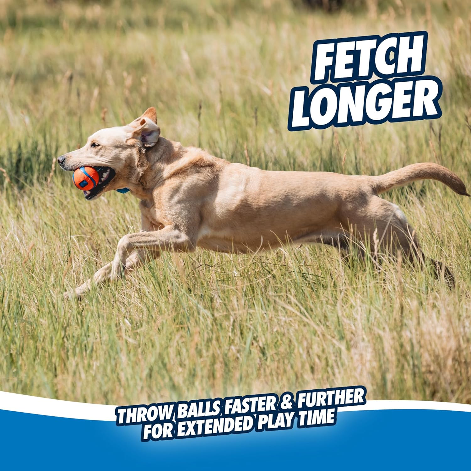 🐾 Chuckit! Ultra Tug Medium – Robust & langlebiges Zerrspielzeug 🦴🐶