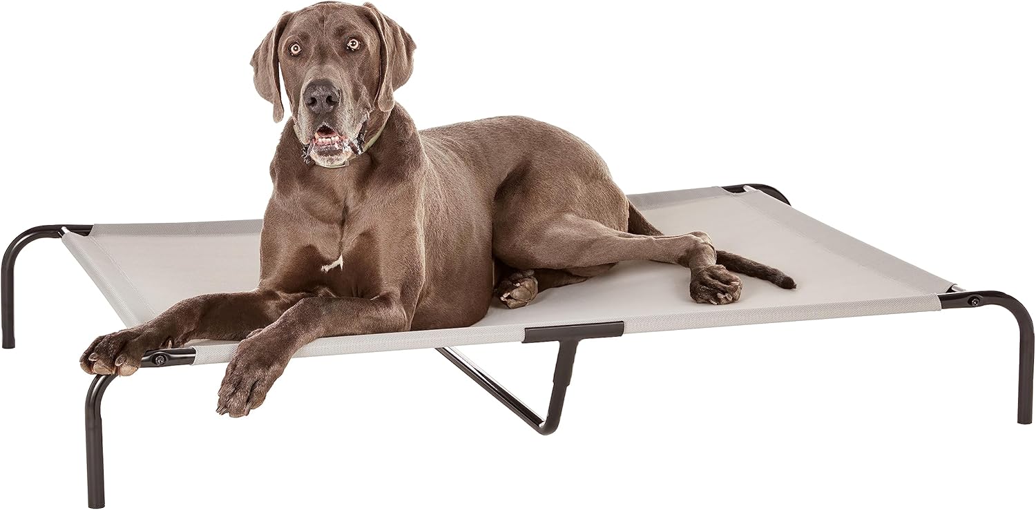 Amazon Basics Kühlendes Erhöhtes Haustierbett per Hund, Größe S, L 90 X B 55 X H 19 Cm, Grau