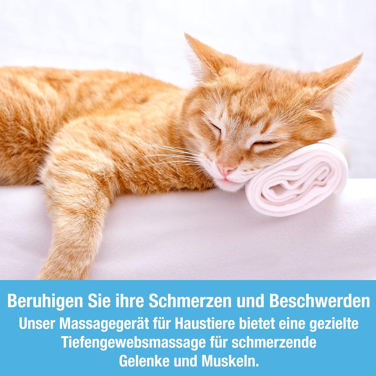 🐕 Elektrischer Haustier-Massager – Entspannung pur