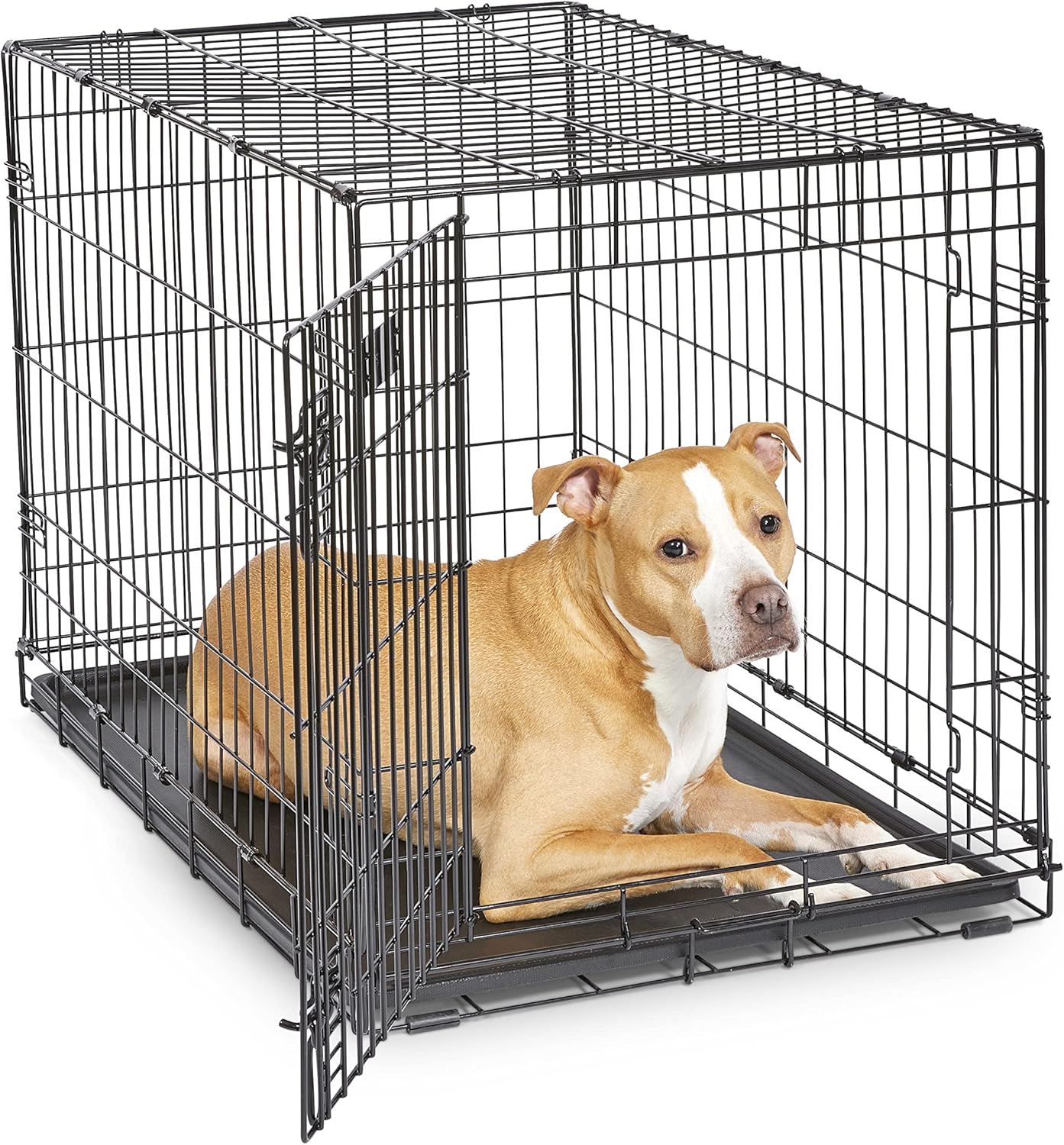 🐶 iCrate Hundebox 🛡️ Mit Tür, Trennwand & Auslaufschutz – Sicher & Praktisch 🖤
