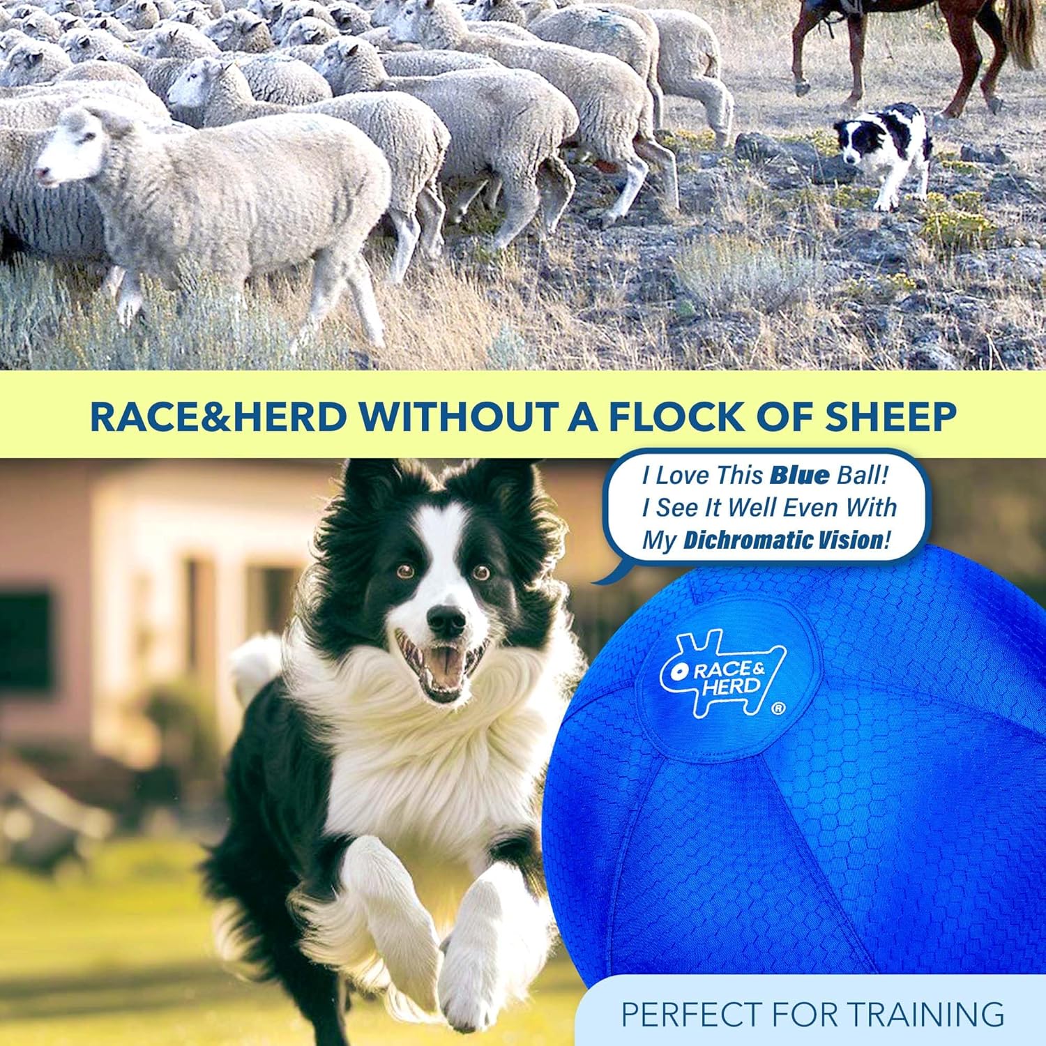 💪 Hüteball 25" | Bissfest & langlebig 🐶 | 🎓 IACP Training inkl.
