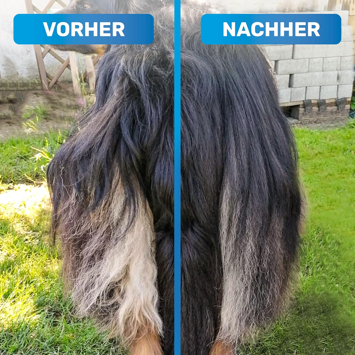 🐾 BluePet Fellstriegel – Entfilzen, Glätten & Fellwechsel für Hunde & Katzen 🐶🐱