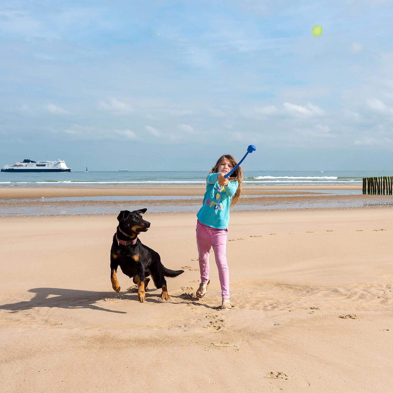 🎾🐕 Relaxdays Ballschleuder für Hunde – 2er Set Ballwerfer in Blau & Grün 🐶🚀