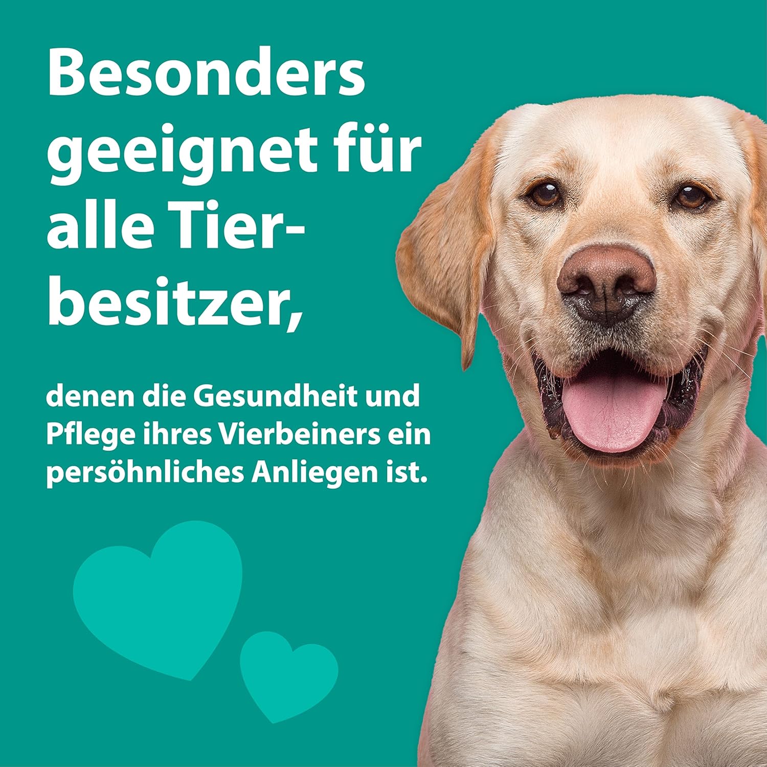 🦷 Emmi-Pet Orozyme Zahngel für Hunde & Katzen 🐶🐱 – Gegen Zahnstein & Mundgeruch, mit Enzym-Komplex 💧