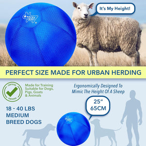 💪 Hüteball 25" | Bissfest & langlebig 🐶 | 🎓 IACP Training inkl.
