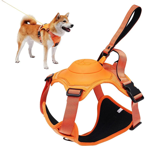 All-in-One Hundegeschirr mit Flexi-Leine – Verstellbar, Stoßdämpfend & Atmungsaktiv