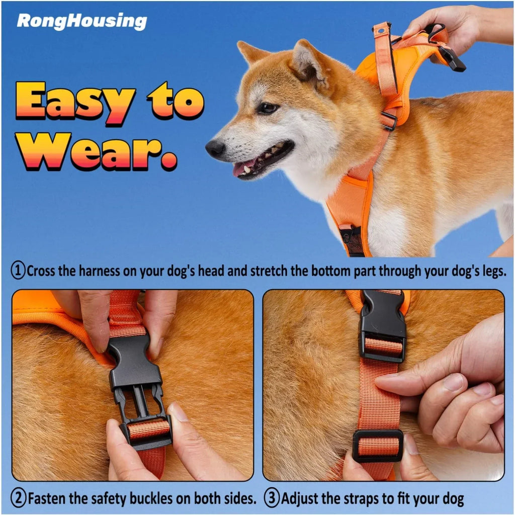 All-in-One Hundegeschirr mit Flexi-Leine – Verstellbar, Stoßdämpfend & Atmungsaktiv