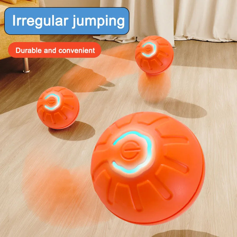 BounceBuddy™ – Der hüpfende Spielkamerad für deinen Hund