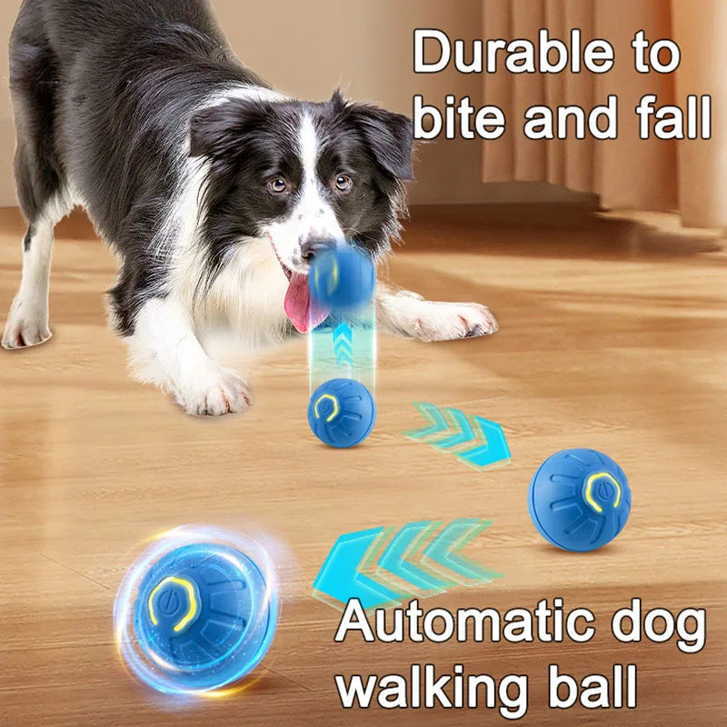 BounceBuddy™ – Der hüpfende Spielkamerad für deinen Hund