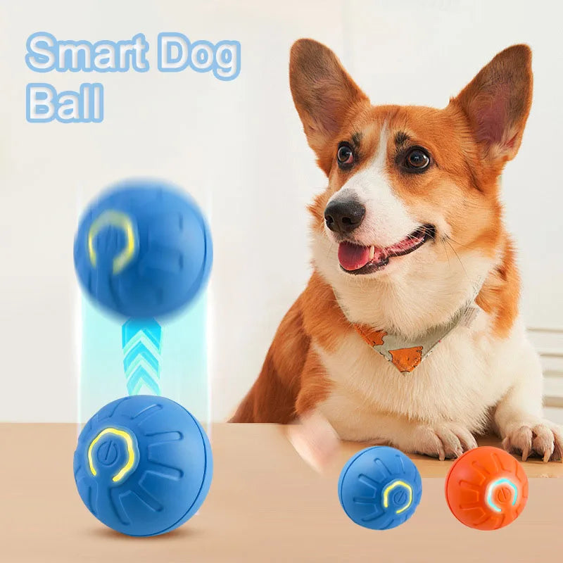 BounceBuddy™ – Der hüpfende Spielkamerad für deinen Hund