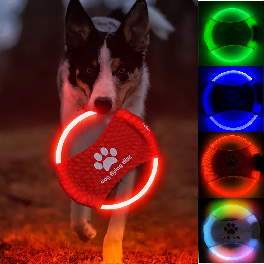 LED Hundefrisbee – Leuchtendes Wurfspielzeug für Hunde, ideal für Nacht & Training